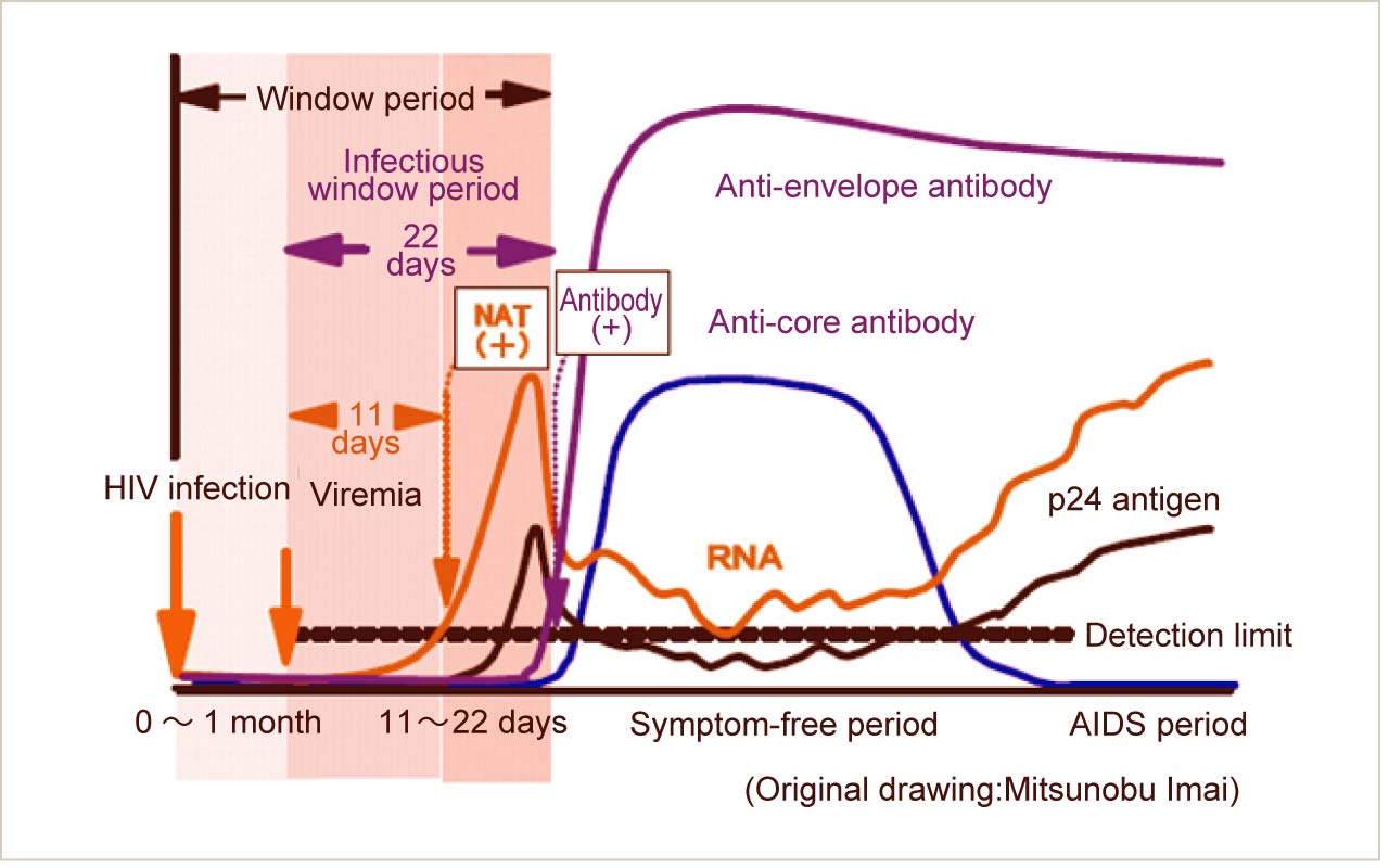 About The Hiv Antibody Test Chugoku Shikoku Regional Aids Center 7410